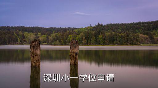 深圳小一學位申請