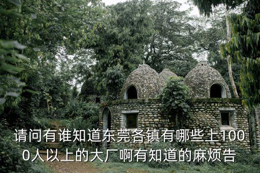 請問有誰知道東莞各鎮有哪些上1000人以上的大廠啊有知道的麻煩告