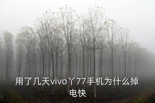 用了幾天vivo丫77手機為什么掉電快