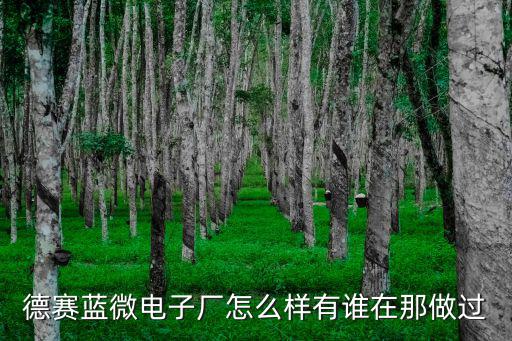 深圳市德賽微電子怎么樣，深圳德愛電子廠在哪里里面怎么樣