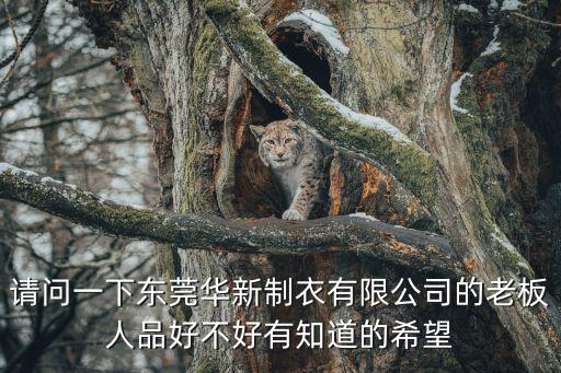 請問一下東莞華新制衣有限公司的老板人品好不好有知道的希望
