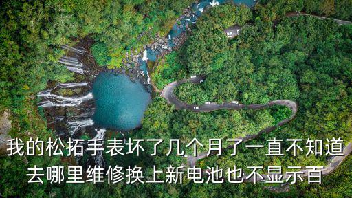 我的松拓手表壞了幾個(gè)月了一直不知道去哪里維修換上新電池也不顯示百