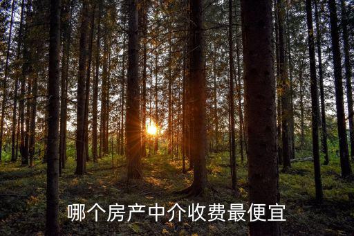 寧波房價哪個平臺便宜，哪個房產中介收費最便宜
