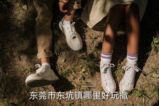 東莞東坑鎮(zhèn)是在哪里，東坑是哪個地區(qū) 萬江東城還是南城