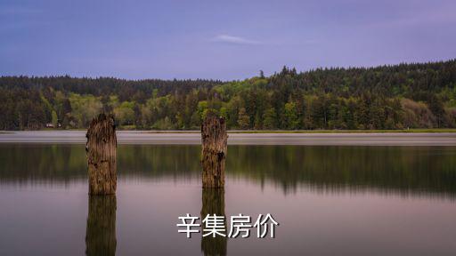 辛集房價