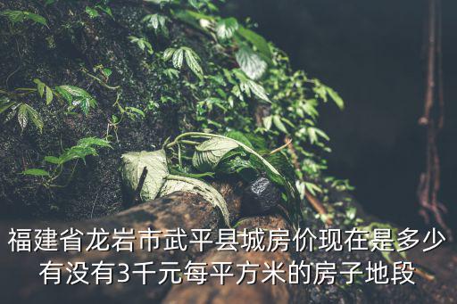 福建省龍巖市武平縣城房價現在是多少有沒有3千元每平方米的房子地段