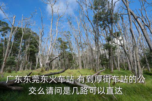 廣東東莞東火車站 有到厚街車站的公交么請問是幾路可以直達