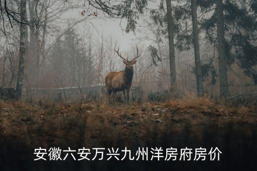 九州房價如何，安徽六安萬興九州洋房府房價