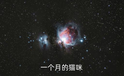 一個半月的貓體溫多少正常值，呼吸的時候明顯鼻子堵塞叫不出聲吃東西可以正常吃體溫正常
