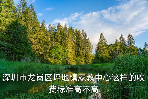 深圳市龍崗區坪地鎮家教中心這樣的收費標準高不高