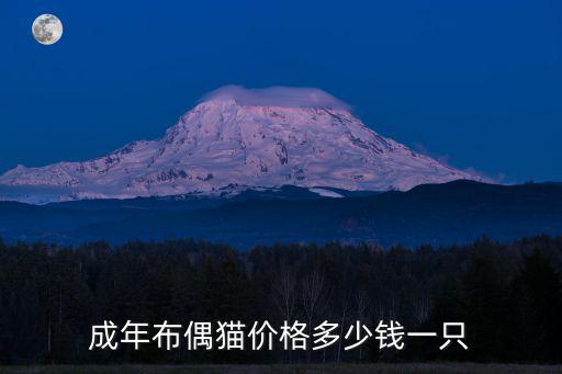 貓布偶多少錢一只，布偶貓大概要多少錢幼仔呢
