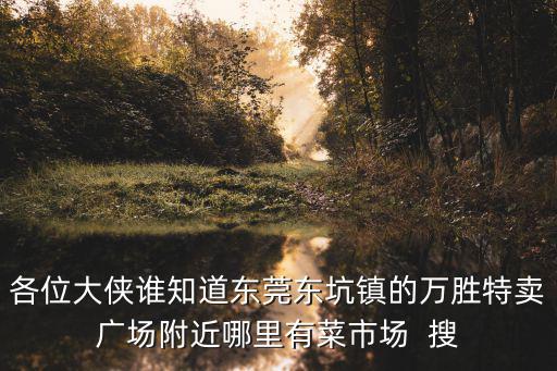 各位大俠誰知道東莞東坑鎮(zhèn)的萬勝特賣廣場附近哪里有菜市場  搜
