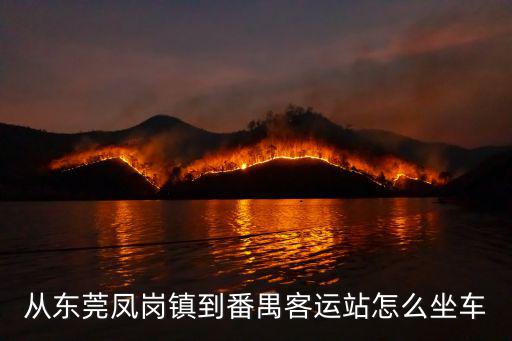 從東莞鳳崗鎮到番禺客運站怎么坐車
