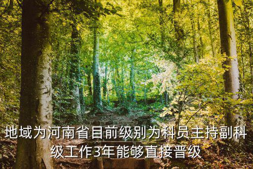 地域為河南省目前級別為科員主持副科級工作3年能夠直接晉級