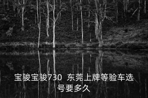 寶駿寶駿730  東莞上牌等驗車選號要多久