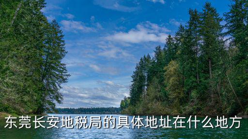 東莞長安地稅局的具體地址在什么地方