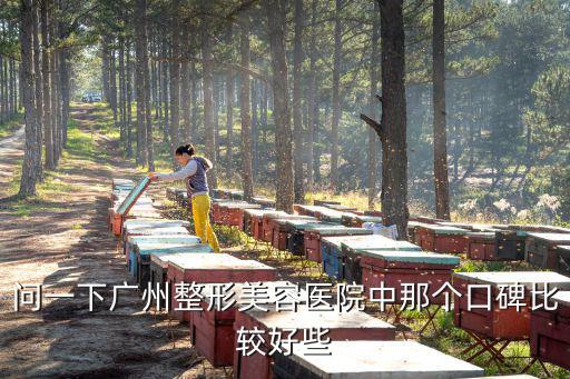 問一下廣州整形美容醫院中那個口碑比較好些