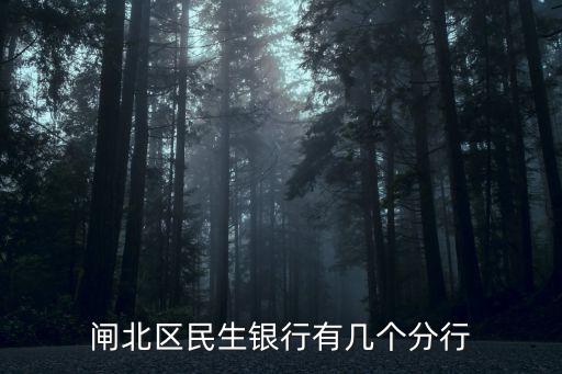 民生銀行上海市分行營(yíng)業(yè)部，閘北區(qū)民生銀行有幾個(gè)分行