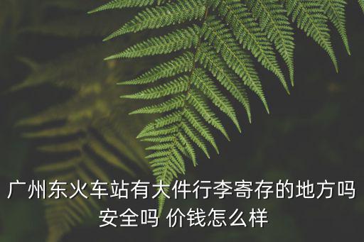 廣州東火車站有大件行李寄存的地方嗎 安全嗎 價錢怎么樣