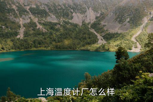 上海溫度計廠怎么樣