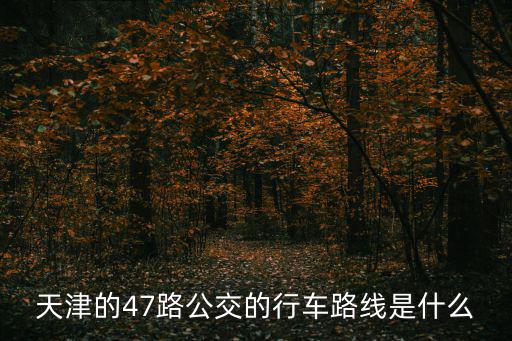 天津的47路公交的行車(chē)路線是什么