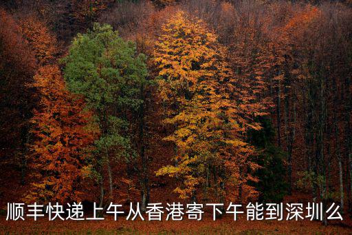 順豐快遞上午從香港寄下午能到深圳么