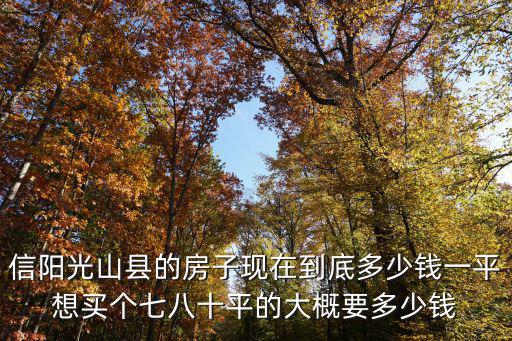信陽光山縣的房子現(xiàn)在到底多少錢一平想買個(gè)七八十平的大概要多少錢