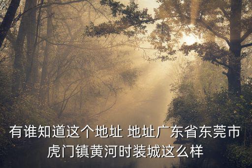 有誰(shuí)知道這個(gè)地址 地址廣東省東莞市虎門(mén)鎮(zhèn)黃河時(shí)裝城這么樣