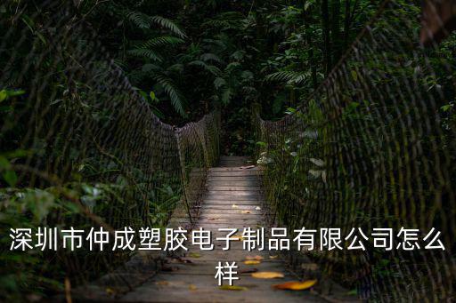 深圳市仲成塑膠電子制品有限公司，深圳市歐迪聲科技有限公司怎么樣