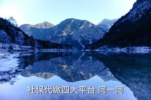社保代繳四大平臺 問一問