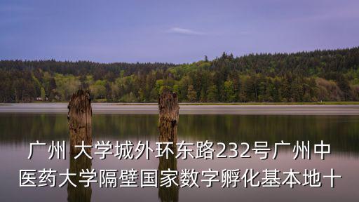 廣州 大學城外環東路232號廣州中醫藥大學隔壁國家數字孵化基本地十