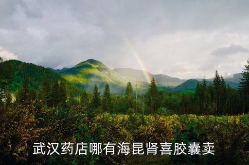 武漢藥店哪有海昆腎喜膠囊賣