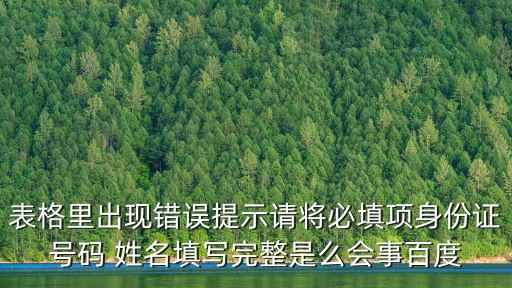 表格里出現錯誤提示請將必填項身份證號碼 姓名填寫完整是么會事百度