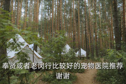 奉賢或者老閔行比較好的寵物醫院推薦謝謝