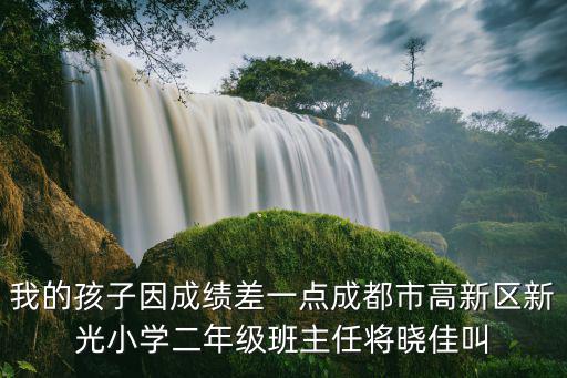 我的孩子因成績差一點成都市高新區新光小學二年級班主任將曉佳叫