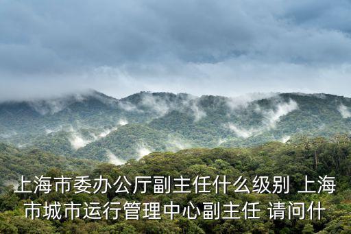 上海市委辦公廳副主任什么級別 上海市城市運行管理中心副主任 請問什