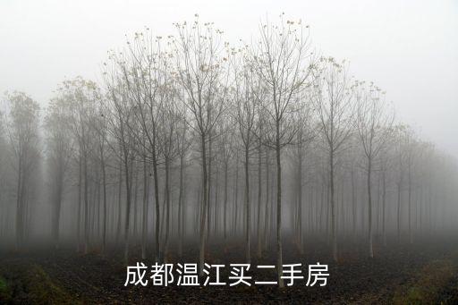 成都溫江買二手房