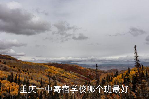 重慶一中寄宿學(xué)校哪個(gè)班最好