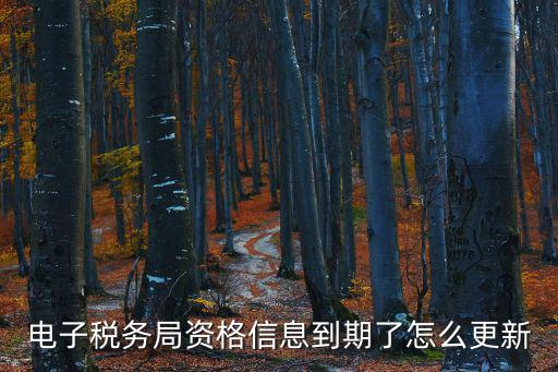 電子稅務(wù)局資格信息到期了怎么更新