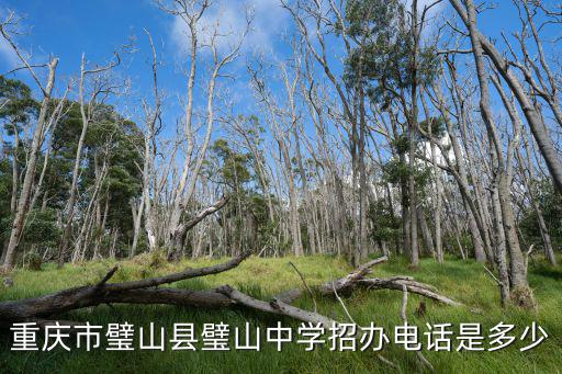 重慶市璧山縣璧山中學招辦電話是多少