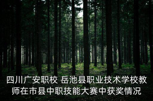 四川廣安職校 岳池縣職業技術學校教師在市縣中職技能大賽中獲獎情況
