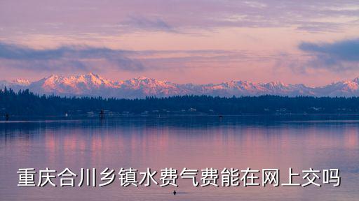 重慶合川鄉鎮水費氣費能在網上交嗎