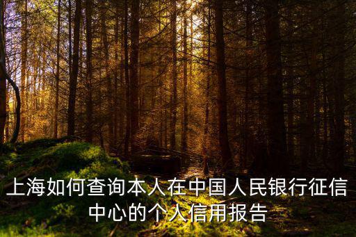 上海如何查詢本人在中國人民銀行征信中心的個人信用報告
