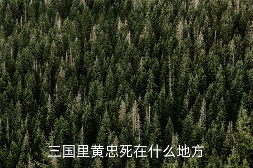 三國里黃忠死在什么地方