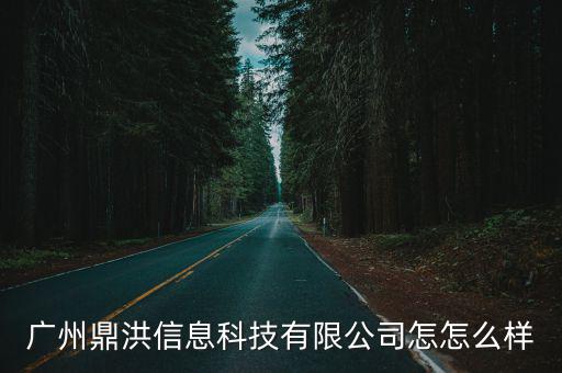 廣州鼎洪信息科技有限公司怎怎么樣