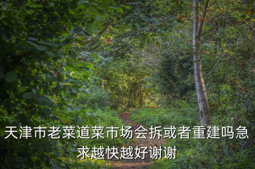 天津市老菜道菜市場會拆或者重建嗎急求越快越好謝謝