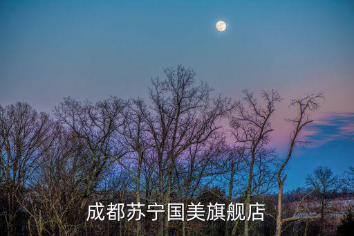 成都市國(guó)美電器風(fēng)扇，成都新南門(mén)國(guó)美電器地址