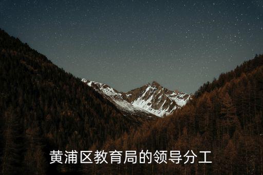 黃浦區(qū)教育局的領導分工