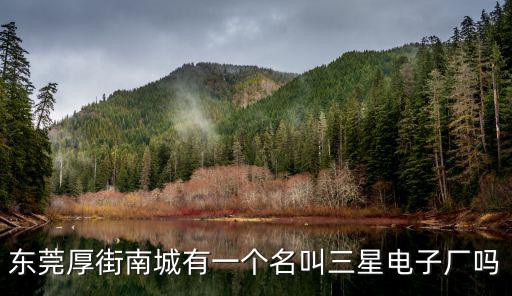 東莞厚街南城有一個名叫三星電子廠嗎