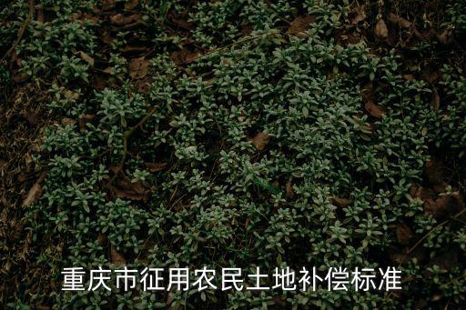 重慶市征用農民土地補償標準